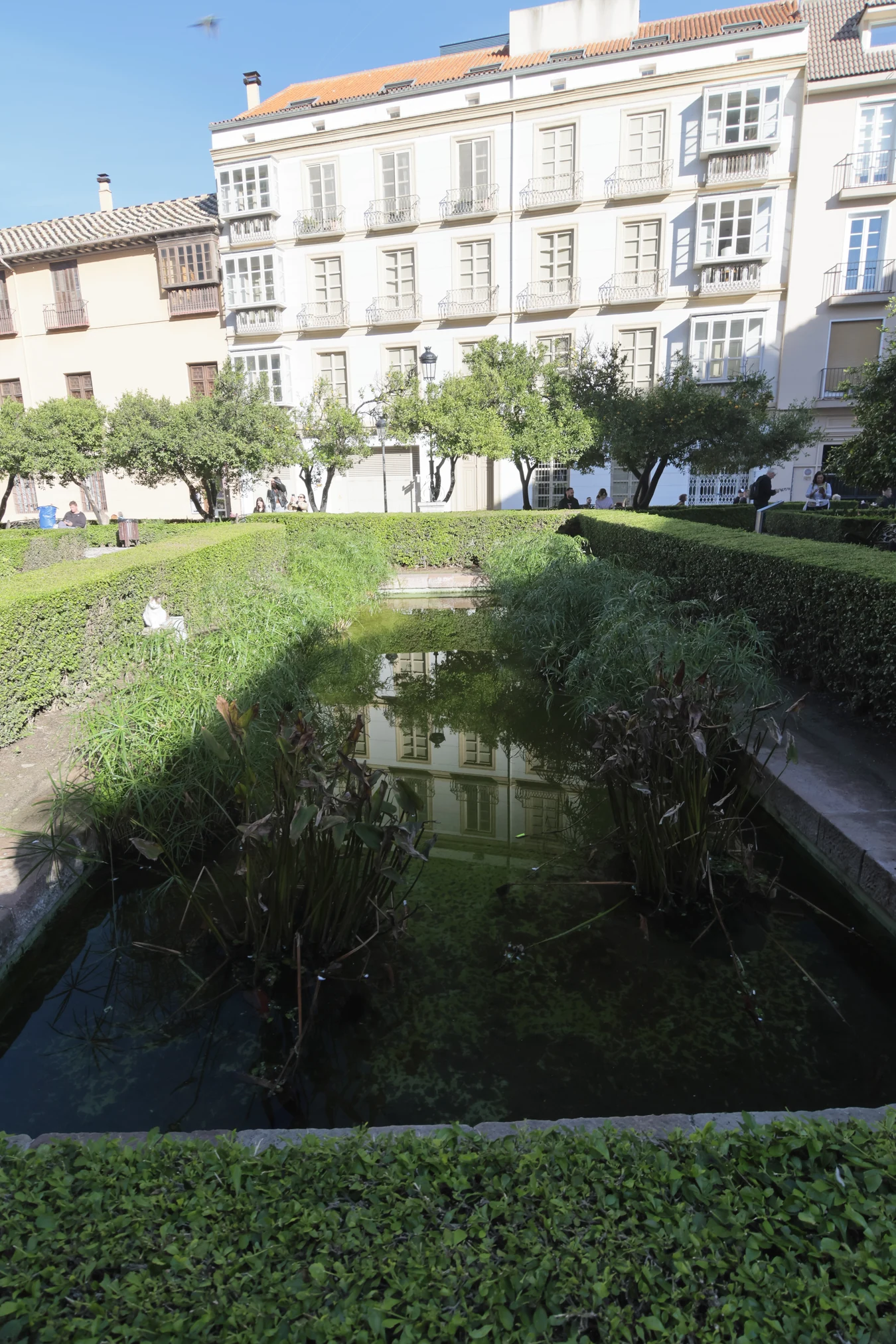 Tokina at-x 116 (EF) - _I4A2246.webp